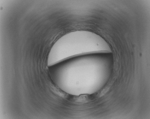 X0000075860384200609221802