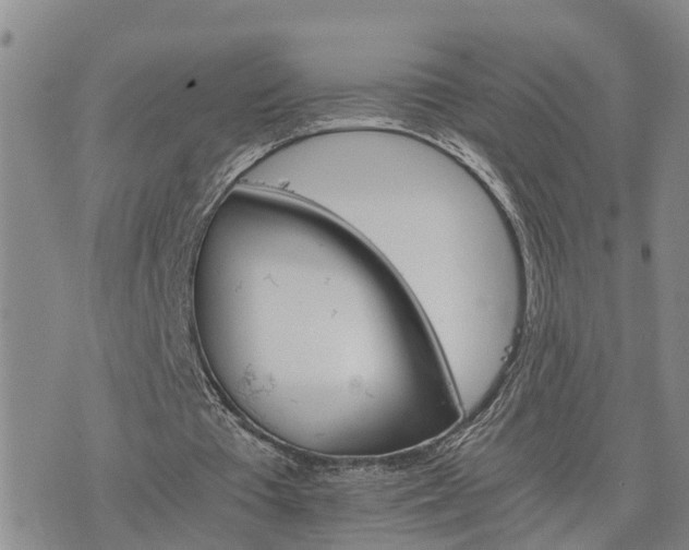 X0000075860385200609221801