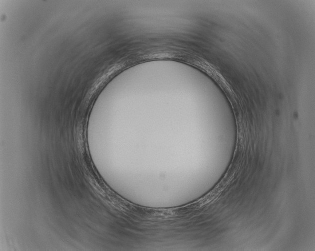 X0000075860386200609221801