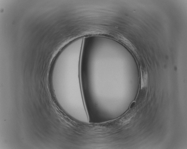 X0000075860387200609221801