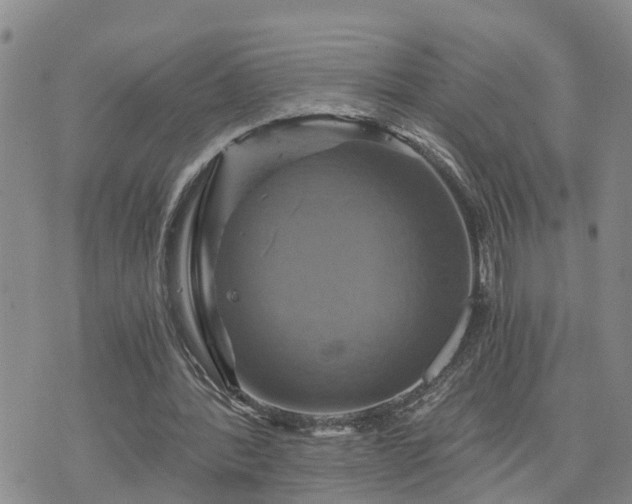 X0000075860388200609221801