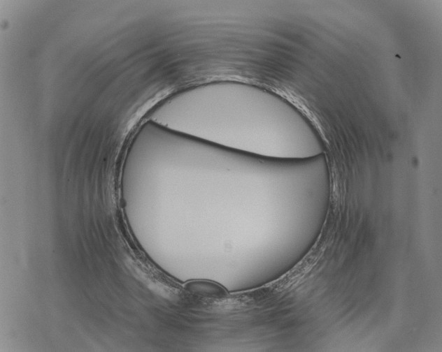 X0000075860390200609221801