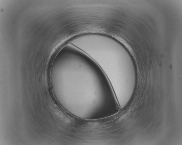 X0000075860391200609221801