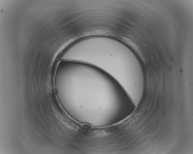 X0000075860392200609221801