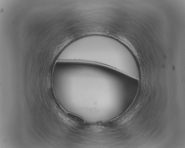 X0000075860393200609221801