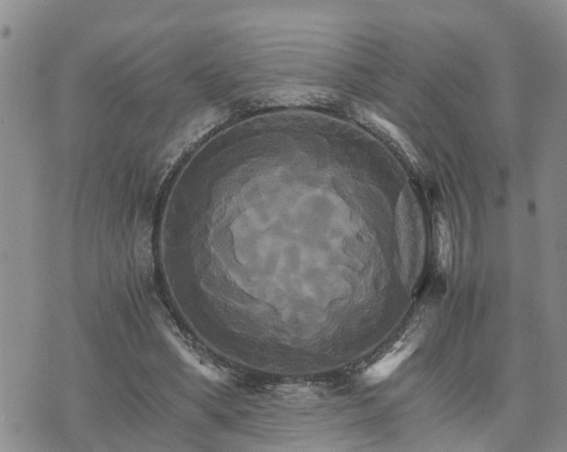 X0000075860394200609221801