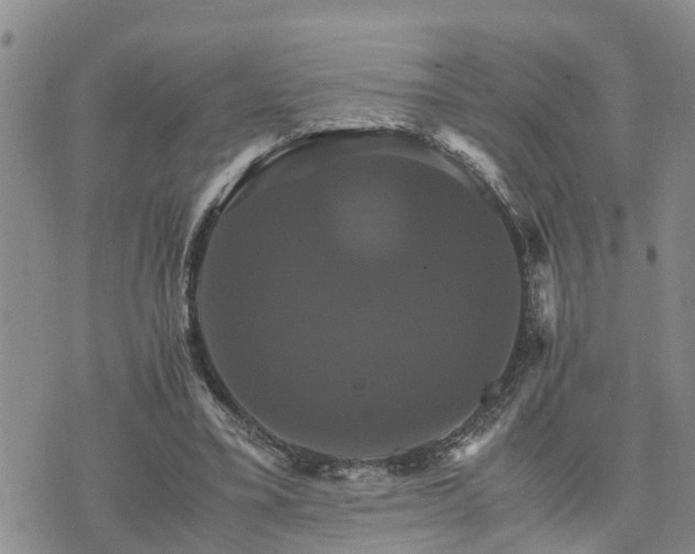 X0000075860395200609221801