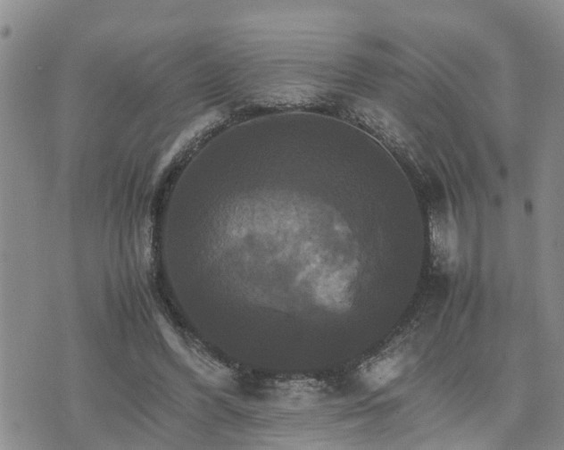 X0000075860396200609221801