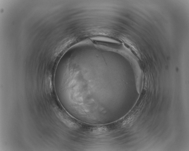 X0000075860398200609221801