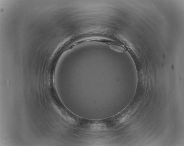 X0000075860400200609221801