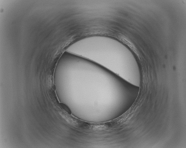 X0000075860401200609221801