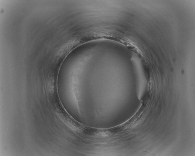 X0000075860402200609221801