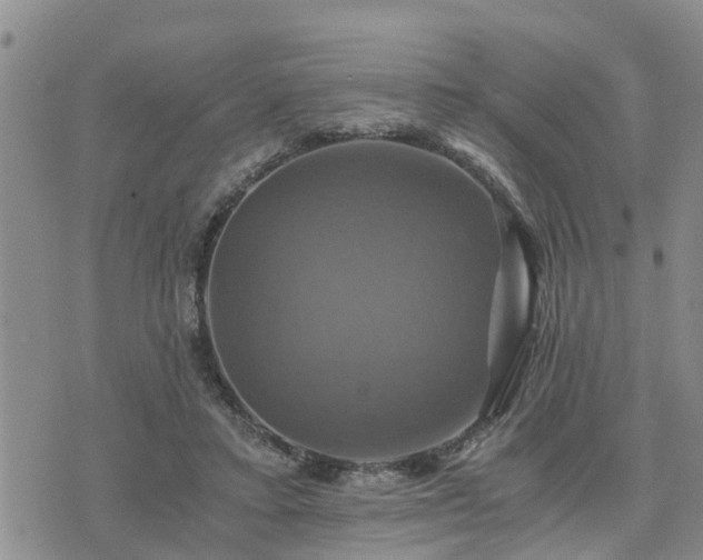 X0000075860403200609221800