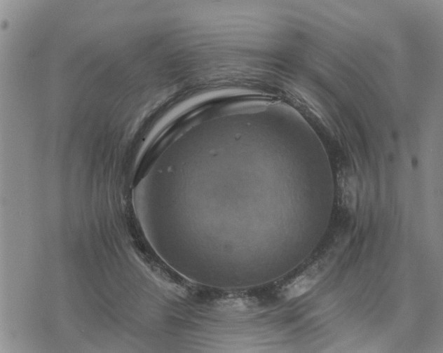 X0000075860404200609221800