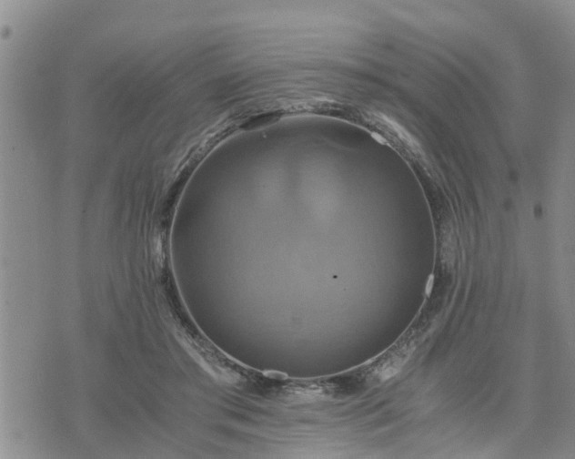 X0000075860405200609221800