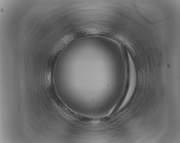 X0000075860406200609221800