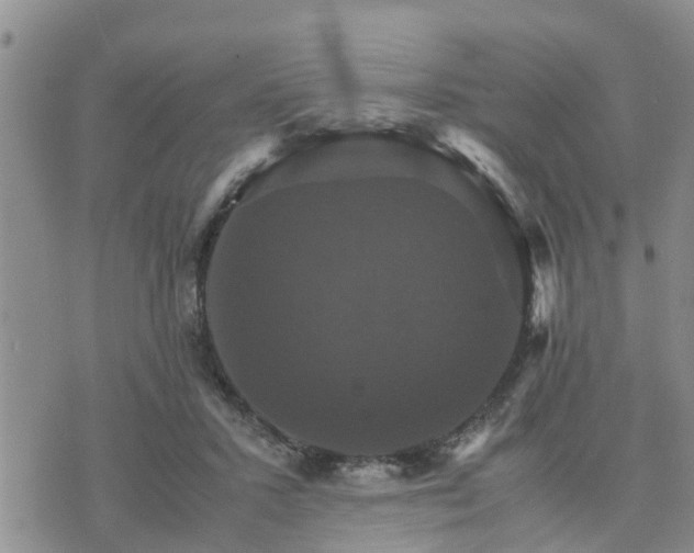 X0000075860407200609221800