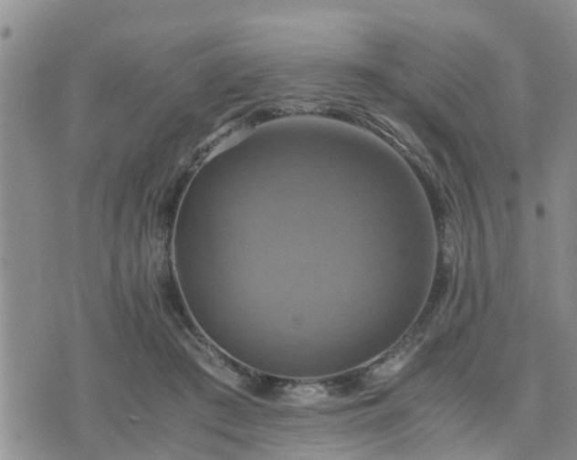 X0000075860409200609221800