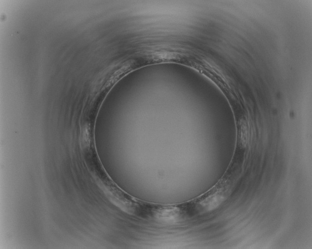 X0000075860410200609221800