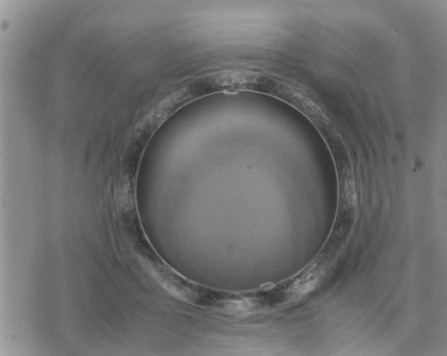 X0000075860411200609221800