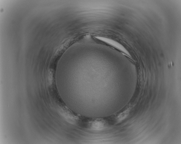 X0000075860412200609221800