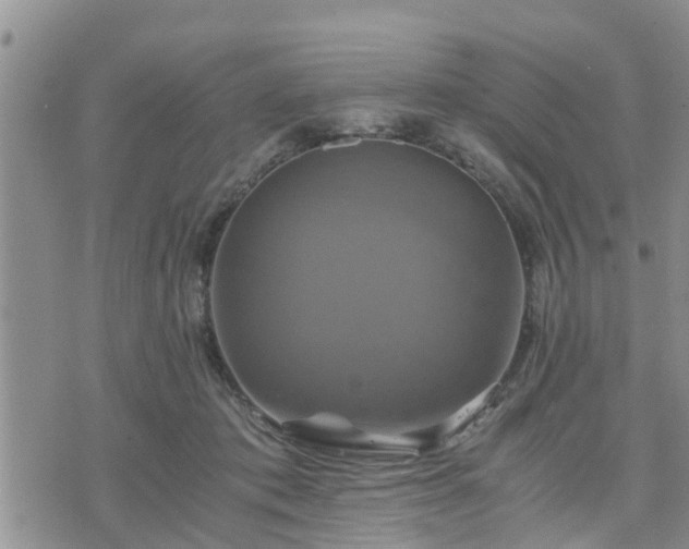 X0000075860413200609221800