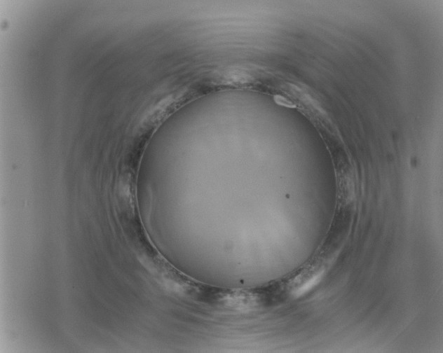 X0000075860415200609221800