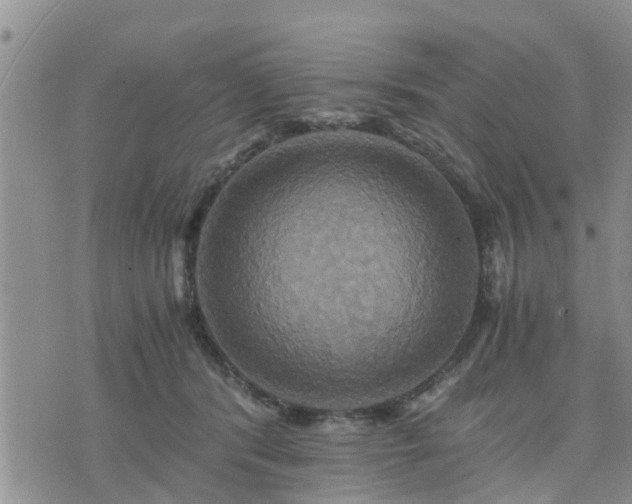 X0000075860416200609221800