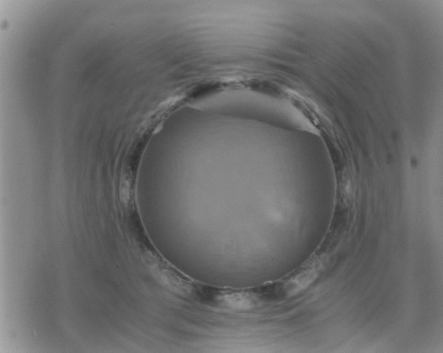 X0000075860417200609221800