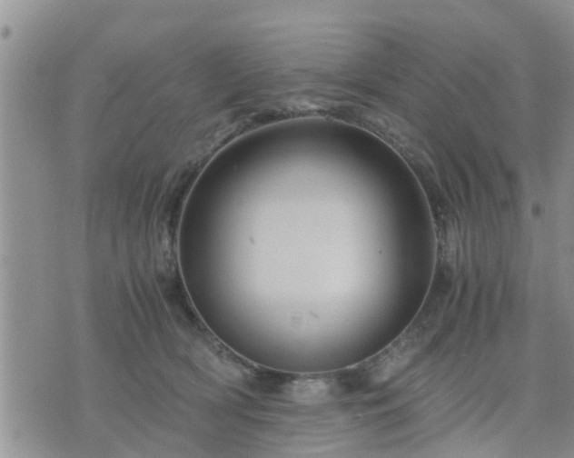 X0000075860418200609221800