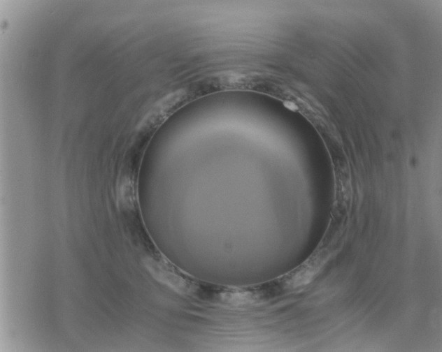 X0000075860419200609221800