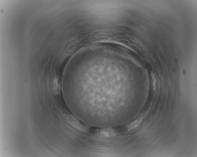 X0000075860420200609221800