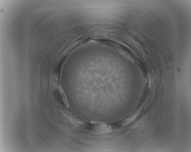 X0000075860421200609221800