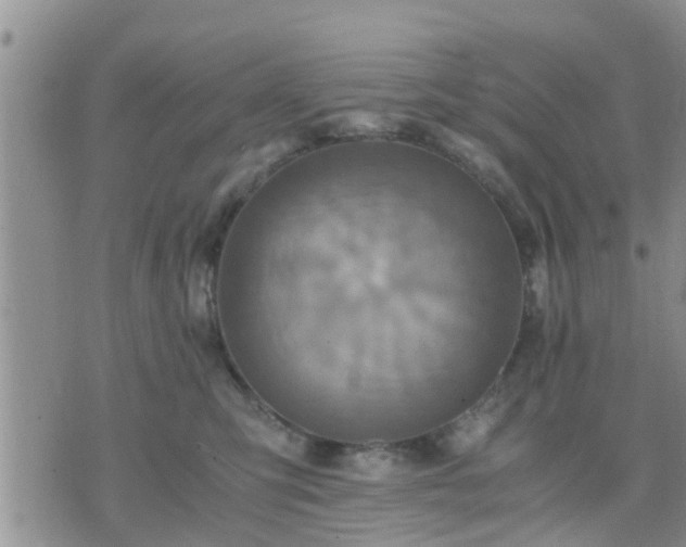 X0000075860423200609221800