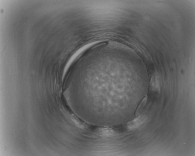 X0000075860424200609221800