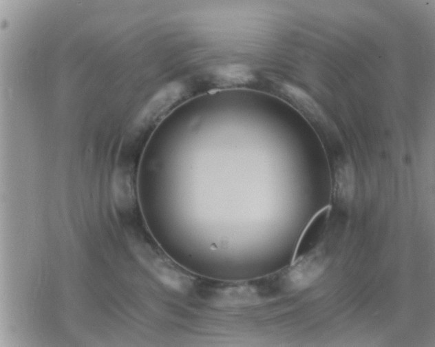 X0000075860426200609221800