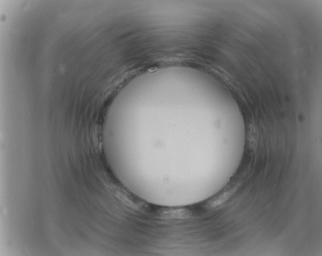 X0000075860428200609221800