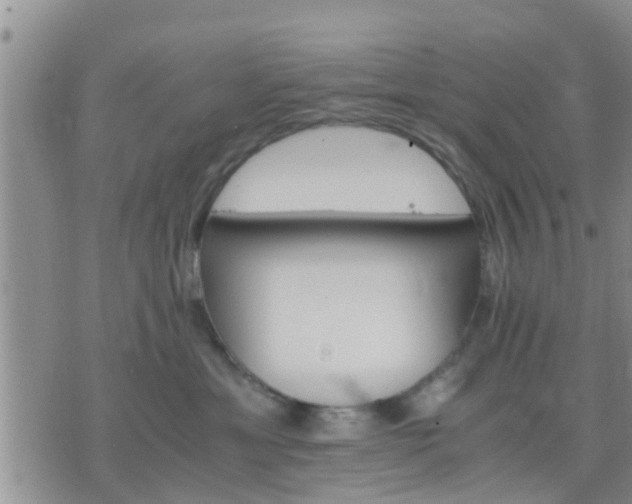 X0000075860429200609221800