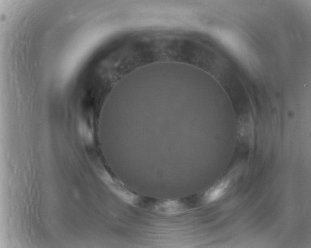 X0000075860431200609221800