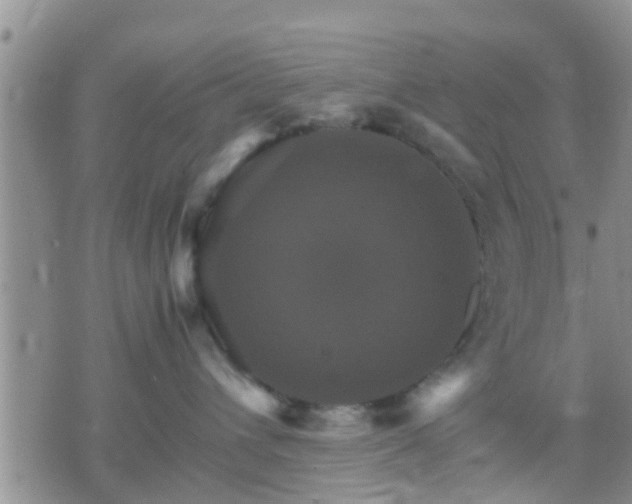 X0000075860432200609221800