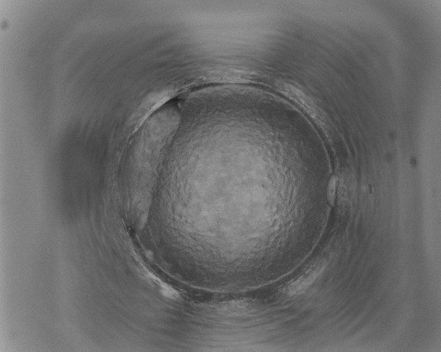 X0000075860433200609221759