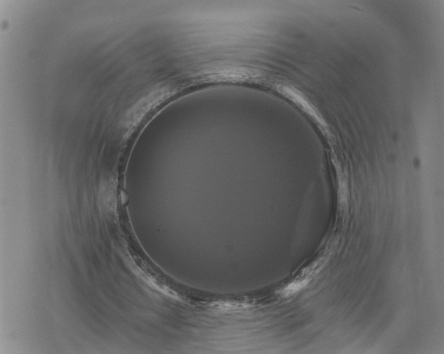 X0000075860434200609221759