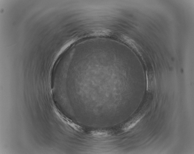 X0000075860435200609221759