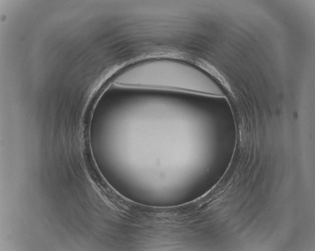 X0000075860436200609221759