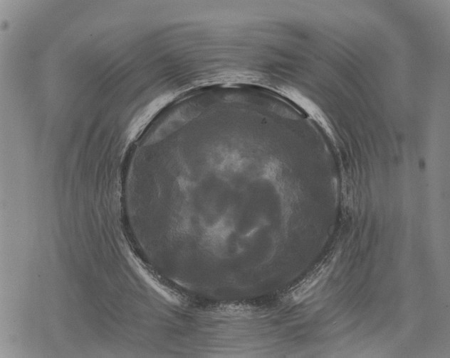 X0000075860437200609221759