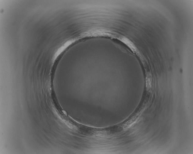 X0000075860438200609221759