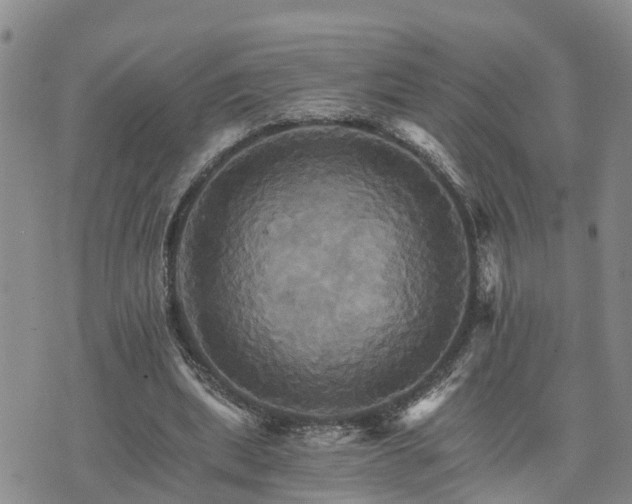 X0000075860439200609221759