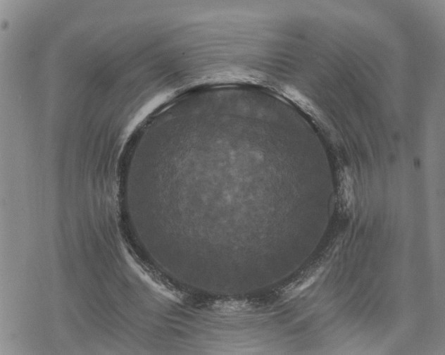 X0000075860440200609221759