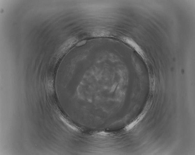 X0000075860441200609221759