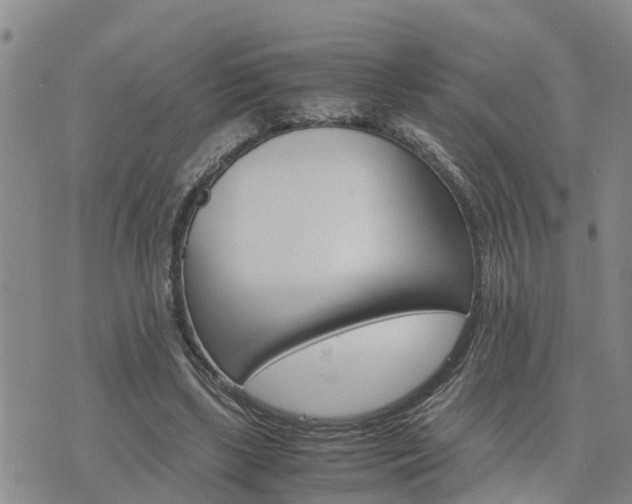 X0000075860443200609221759